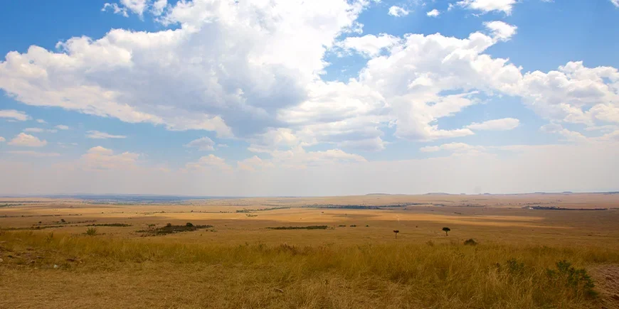 Endlose Savannen der Masai Mara im Juli