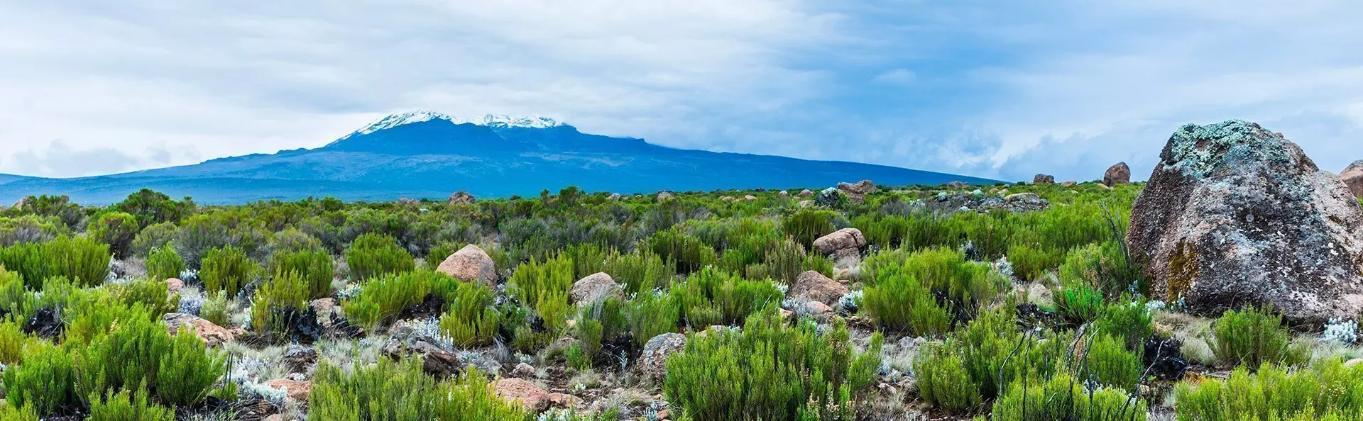 Aussicht von der Lemosho-Route bei der Besteigung des Kilimandscharos