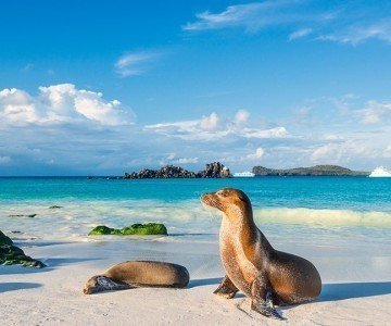 Ecuador / Galapagos