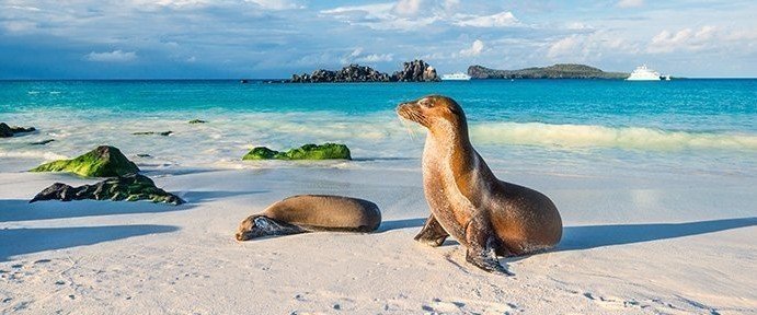 Ecuador / Galapagos