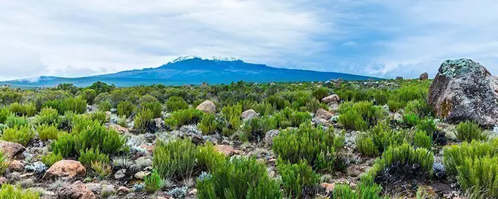 Aussicht von der Lemosho-Route bei der Besteigung des Kilimandscharos