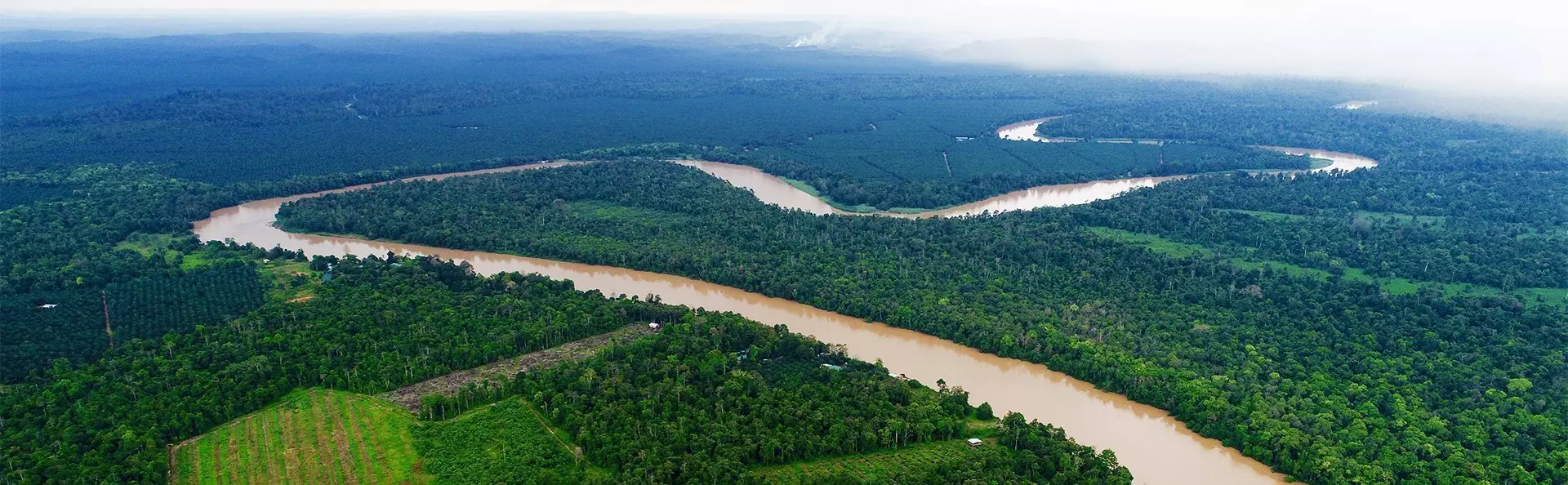 Blick auf den Kinabatangan-Fluss in Borneo