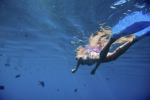 Schwimmen Sie im Indischen Ozean