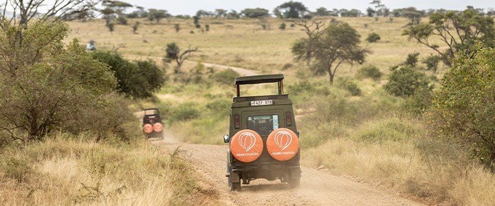 Die besten Safariländer in Afrika