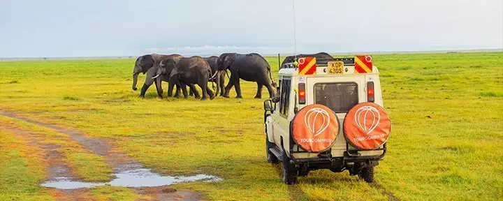Safari-Auto und Elefanten im Amboseli-Nationalpark, Kenia