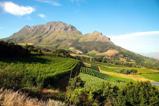 Außerhalb von Cape Town findet man eine wunderschöne Aussicht auf die Weingärten und Berge