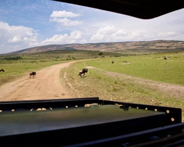 Aussicht aus dem Safariauto in der Masai Mara