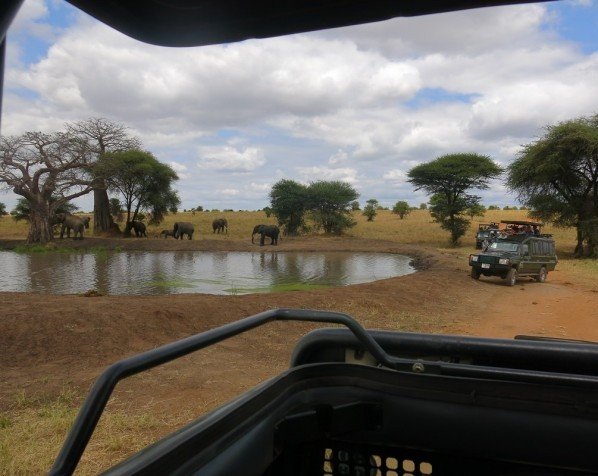 Aussicht vom Safari-Jeep auf eine Wasserstelle