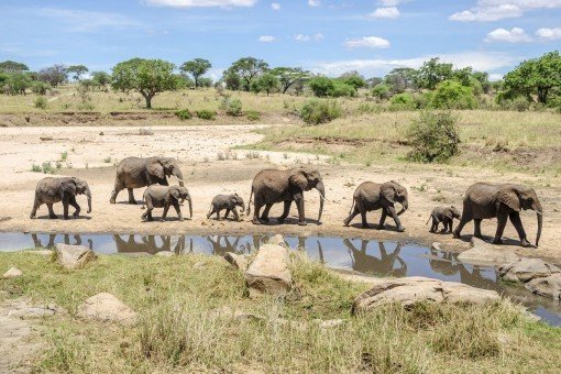 Tarangire-Nationalpark