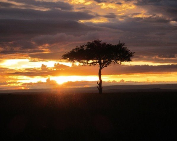 Serengeti-Park