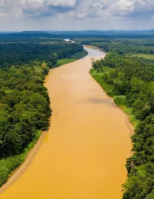 Ein bewölkter Tag auf dem Kinabatangan-Fluss in Borneo