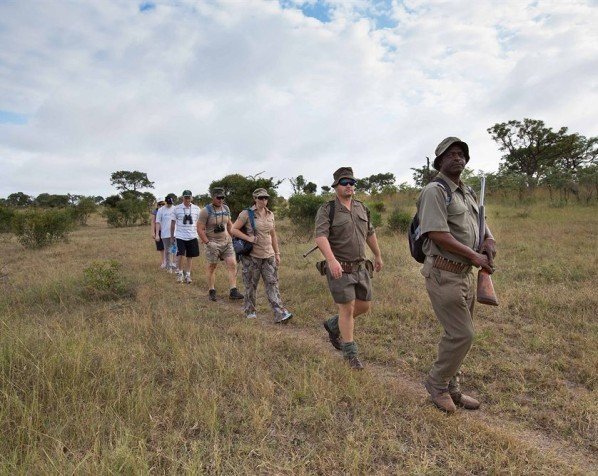 Bush-Walk mit gut geschulten Rangern