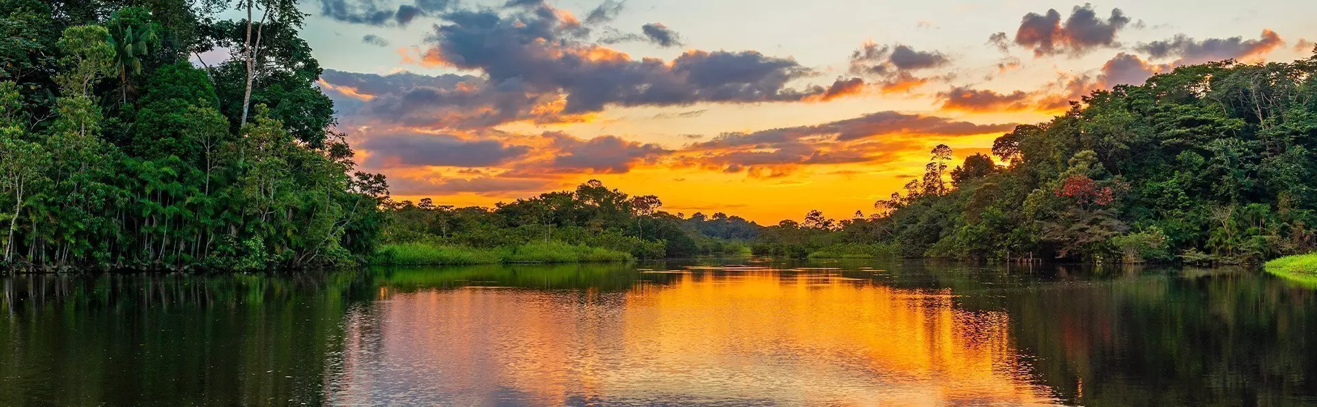 Sonnenuntergang über dem Amazonas